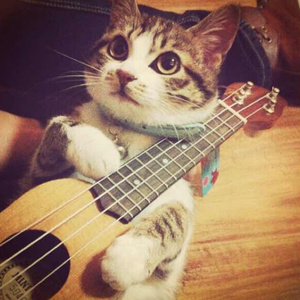 中文字幕乱偷无码AV先锋
